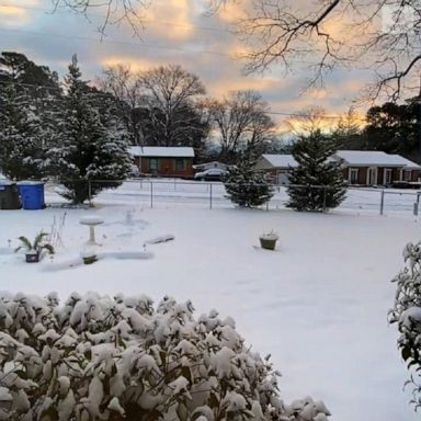 North Carolina turned into a winter wonderland, with most of the state seeing up to four inches of snow.