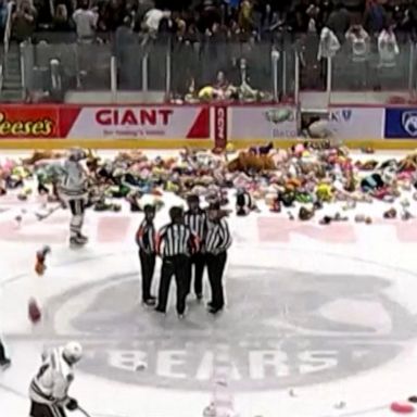 Thousands of stuffed animals were collected for charity as the Hershey Bears, a minor league affiliate of the NHL's Washington Capitals, held their teddy bear toss event.