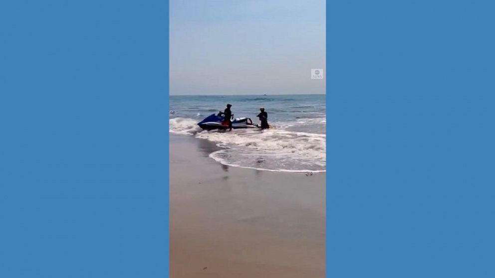 Video Lifeguards use jet ski to save dog - ABC News