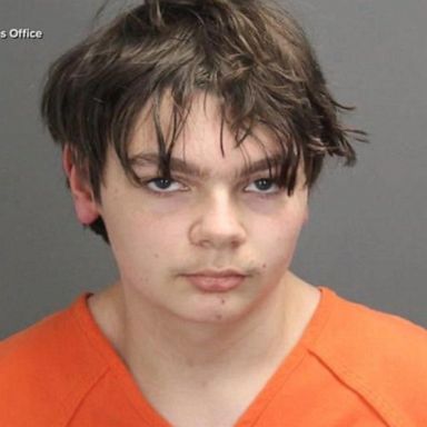 Ethan Crumbley, the alleged Oxford High School shooter, will plead insanity, his lawyers said in a court filing on Wednesday.