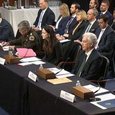 VIDEO: US intelligence chiefs testify before Senate on worldwide threats