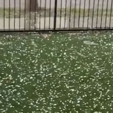 Hail the size of nickels and quarters fell in Dallas as the National Weather Service reported a dangerous severe storm northeast of the city.