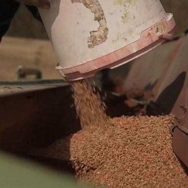 VIDEO: War in Ukraine impacts global food supply