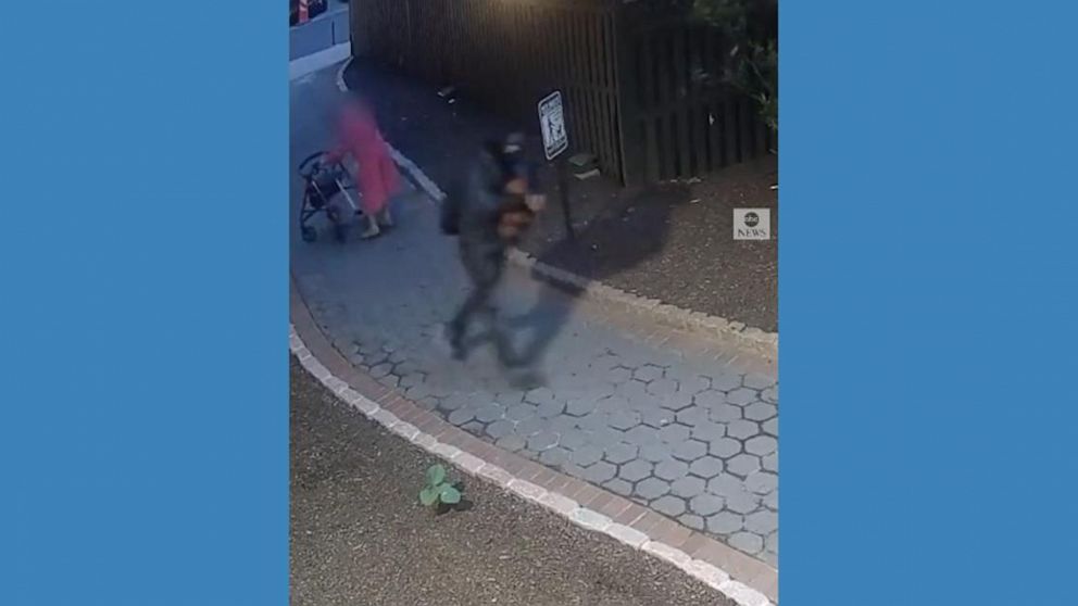 Video Purse Snatcher Caught On Camera Abc News 