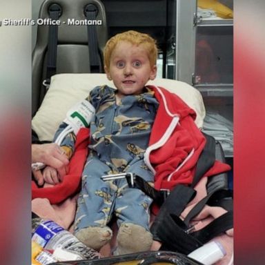 Ryker Webb, 3, spent two days alone in the wilderness, according to the Lincoln County Sheriff's Office in Montana.