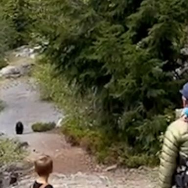 A young family recorded a scary encounter with a bear during a hiking trip, with the parents trying to scare the animal off as it followed them along the path.