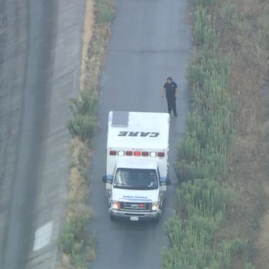 Police and paramedics arrived at the scene at San Gabriel Riverbed, where the woman and her dogs were found dead along the path, according to ABC News Los Angeles station KABC.