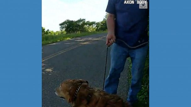 Video Trooper rescues dog from drainage pipe