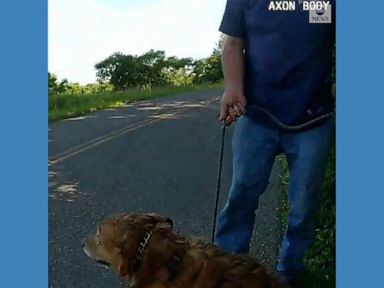 WATCH: Trooper rescues dog from drainage pipe