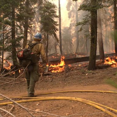 VIDEO: ABC News Live: Wildfire at Yosemite National Park threatens grove of Sequoia trees