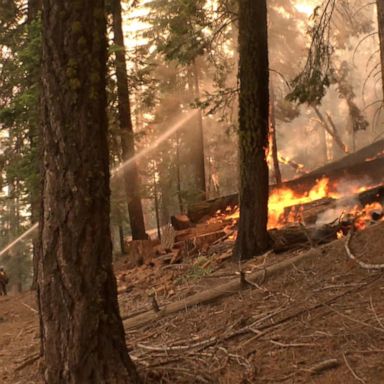 VIDEO: ABC News Live: Wildfire scorches parts of Yosemite National Park