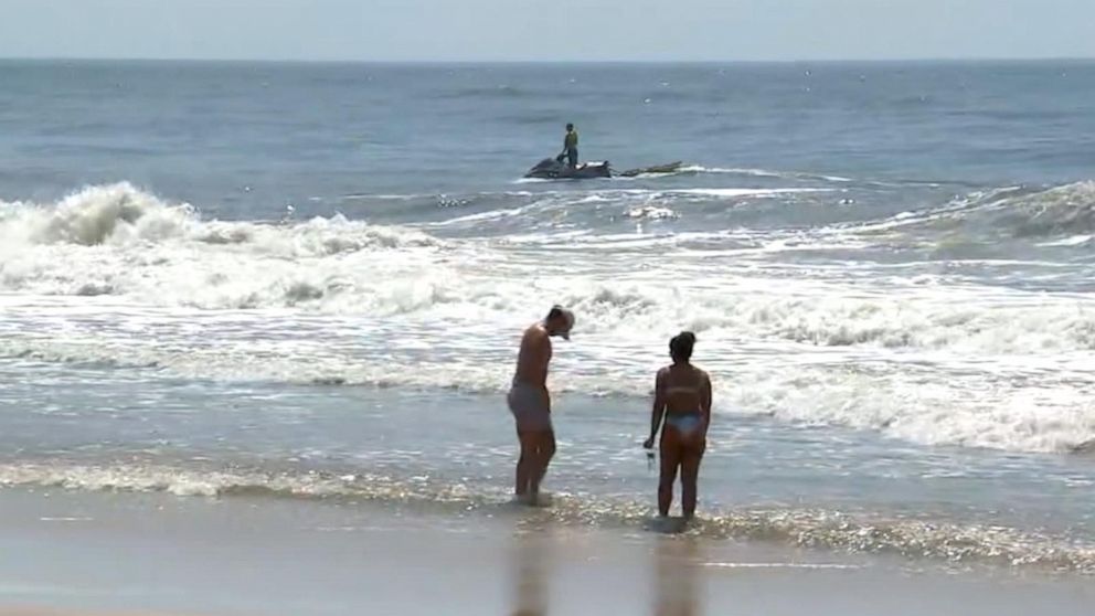Shark Attack at Popular Beach Raises Concern Among Swimmers as Authorities  Take Decisive Action - EssentiallySports