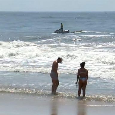 A 49-year-old man from Arizona was bitten by a shark shortly after 6 p.m. at Seaview Beach, Suffolk police said.