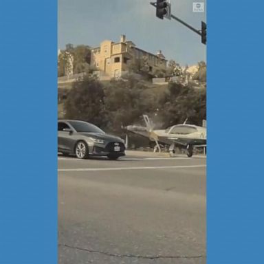 VIDEO: Small plane makes emergency landing at intersection