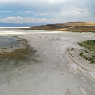 VIDEO: Great Salt Lake dry-up causing dangerous climate ripple effect, ecologists say