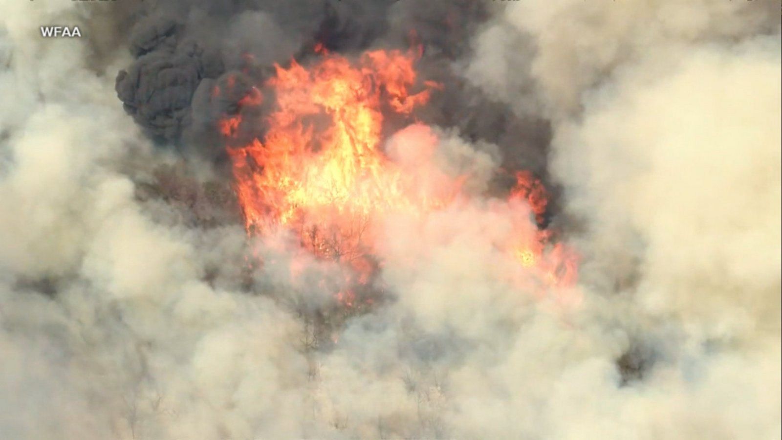 ABC News Live: Dangerous heat fuels wildfires in Texas - Good Morning ...