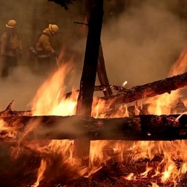 The Oak Fire burned over 15,000 acres within two days of it sparking near Yosemite National Park. Scientists explain factors that contributed to its rapid spread.