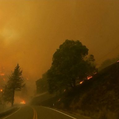 California declared a state of emergency on Saturday for Siskiyou County due to the McKinney Fire, which has become the largest wildland fire in the state this year. 