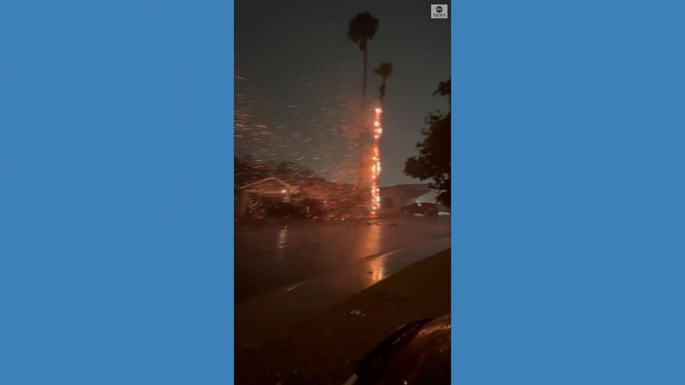 Video Palm Tree Catches Fire After Lightning Strike Abc News 