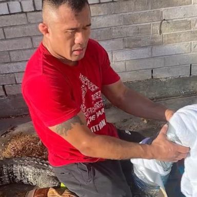 Texas restaurant owner Mike Trinh says he was getting the kids ready for their first day of school when an alligator showed up on his front porch.