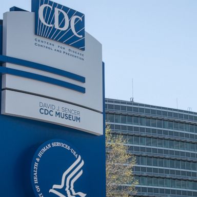 Last Thursday, the CDC released new COVID-19 guidelines that will help employers bring employees back to the office.