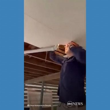 VIDEO: Snake catcher removes 2 pythons from ceiling