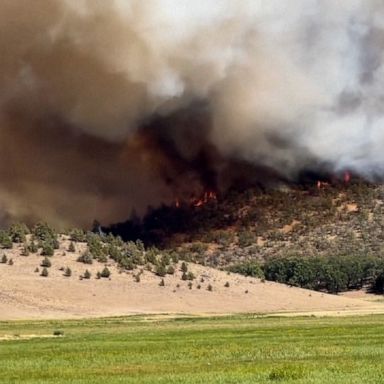 Gov. Gavin Newsom issued a state of emergency in Siskiyou County in response to the "rapidly-spreading" Mill Fire, which ignited Friday afternoon. 