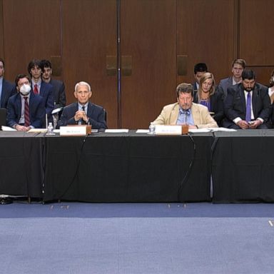 CDC Director Dr. Rochelle Walensky, Dr. Anthony Fauci and other public health experts testified about the federal response to monkeypox before the Senate Health Committee on Wednesday. 