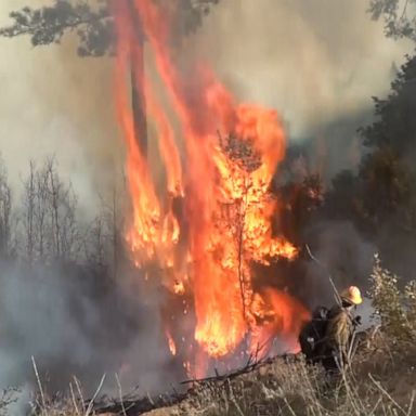 The wildfire that has destroyed dozens of homes in California is now the largest in the state this year.