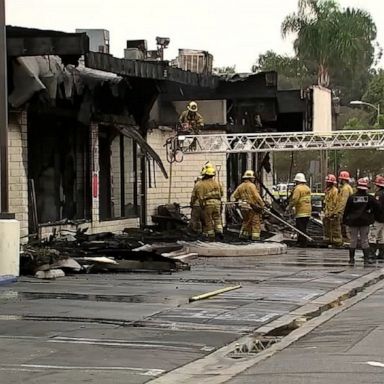 A massive fire broke out at a strip mall in Palms, Los Angeles, which included CatPlaceLA, a boarding facility for pets. 