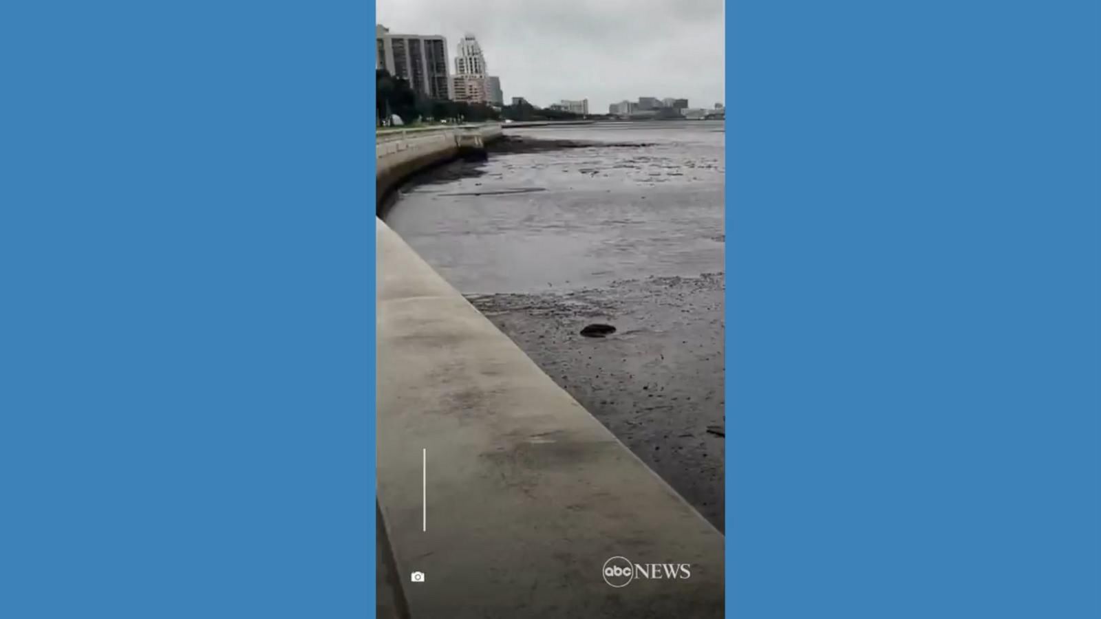 water-recedes-from-tampa-bay-good-morning-america