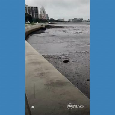 VIDEO: Water recedes from Tampa Bay