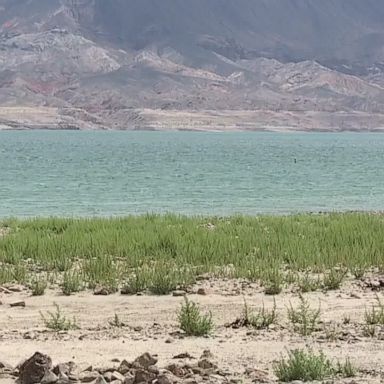 The Southern Nevada Healt​h District confirmed that a Clark County resident has died from a brain-eating amoeba.