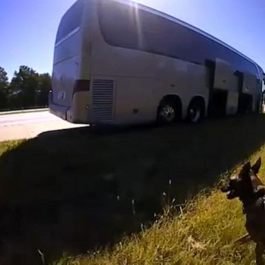 South Carolina sheriffs pushed back against claims by a university president that cops were racially targeting a bus full of HBCU students when they were pulled over.