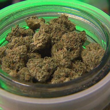 VIDEO: Marijuana legalization on the ballot in 5 states