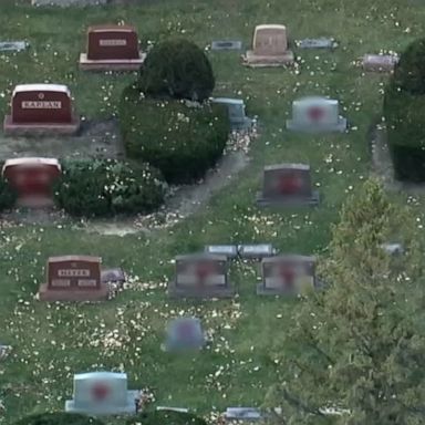 Authorities in Waukegan, Illinois, are looking for those responsible for spray painting red swastikas on headstones in a Jewish cemetery. 