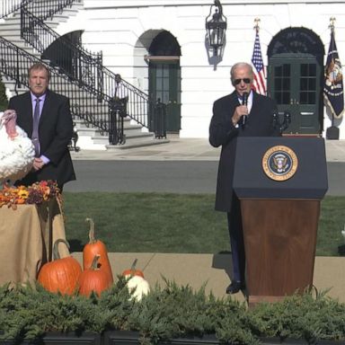 Biden pardons turkeys as part of annual tradition