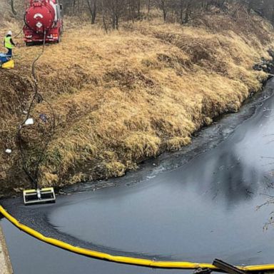 The system was shut down after an oil leak released an estimated 14,000 barrels into a creek in rural Kansas.