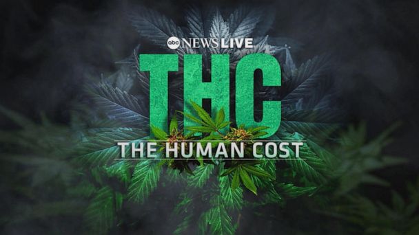 Abc news live stream online free hot sale