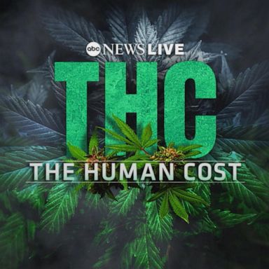 VIDEO: THC: The Human Cost