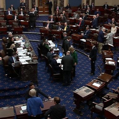 VIDEO: Senate passes $1.7T spending bill, including more aid for Ukraine