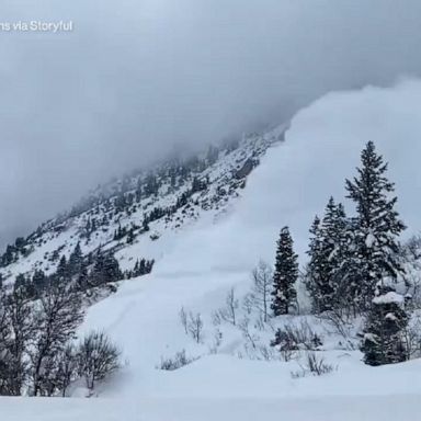 According to the National Weather Service, over 150 people are killed by avalanches across the world every year. 