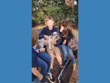 WATCH:  Alabama family reunited with lost dog after 2 years