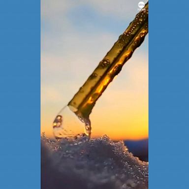 VIDEO: Ice crystals form pattern on freezing bubble