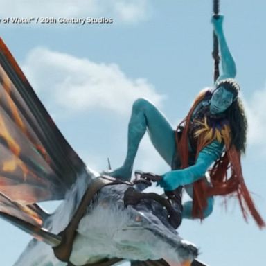 VIDEO: By the Numbers: Avatar's box office milestones