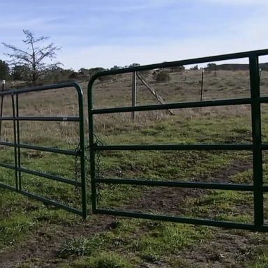 The child was out walking with his mother and grandfather when they encountered the mountain lion, family said.