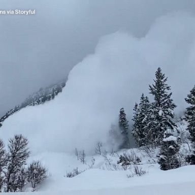 ABC News spoke with experts on how climate change and humans are causing an impact on avalanche seasons.