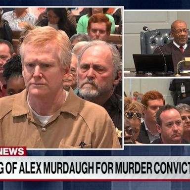 Judge Clifton Newman said “the monster you’ve become” could be responsible for the murders of Murdaugh’s wife and youngest son.