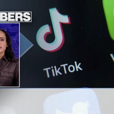 VIDEO: By the Numbers: TikTok’s reach