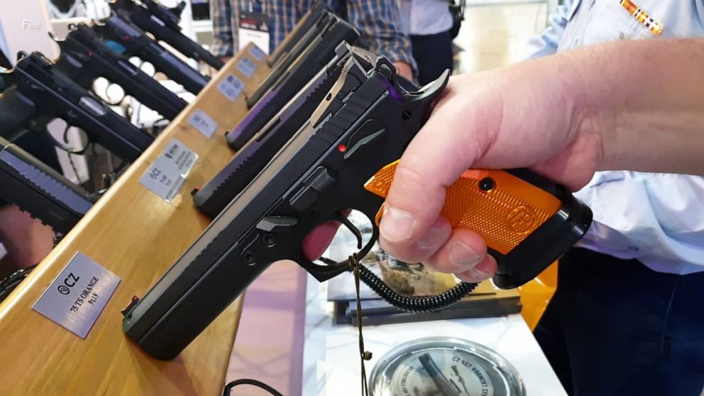 Video Gun reform in Michigan ABC News